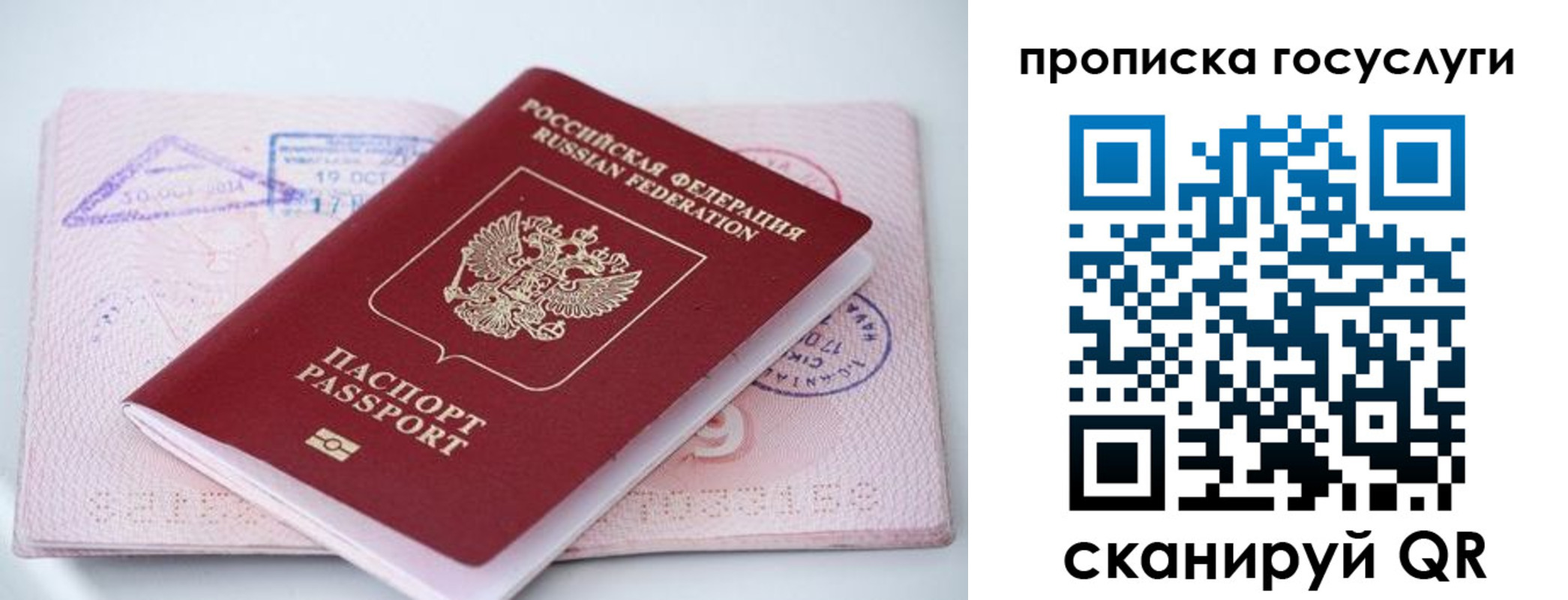 прописка законно в Грязовце